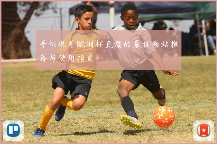 手机观看欧洲杯直播的最佳网站推荐与使用指南
