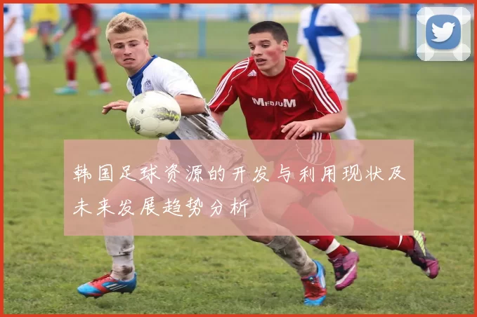 韩国足球资源的开发与利用现状及未来发展趋势分析