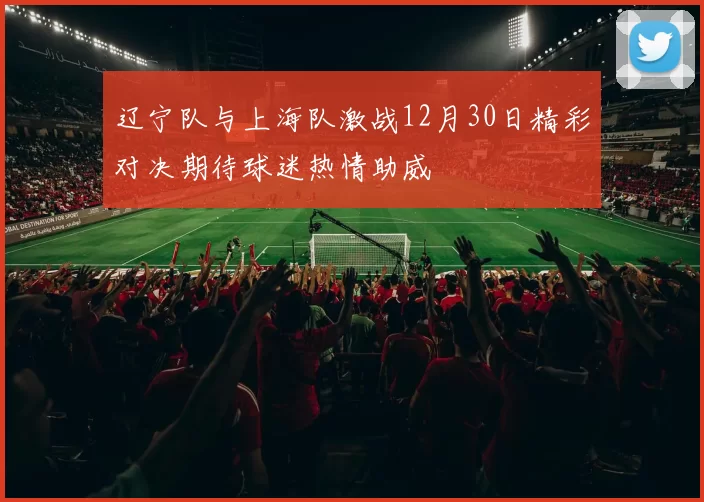 辽宁队与上海队激战12月30日精彩对决期待球迷热情助威