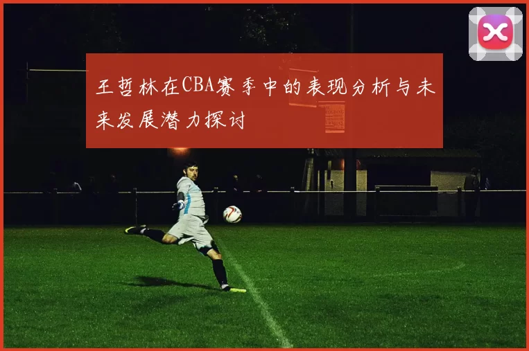 王哲林在CBA赛季中的表现分析与未来发展潜力探讨