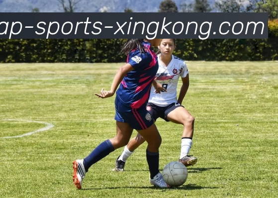 星空体育发展历程