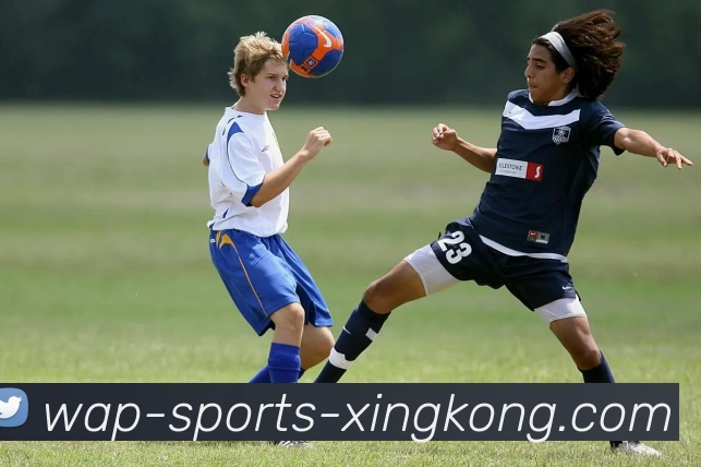 星空体育服务体系